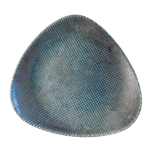 Hx095 npi24.jpg
